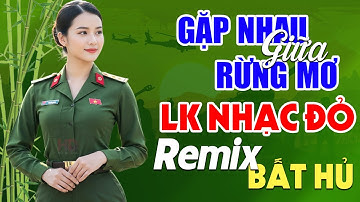 Gặp Nhau Giữa Rừng Mơ, Cung Đàn Mùa Xuân Remix - Lan Anh | LK Nhạc Đỏ Cách Mạng Tiền Chiến Remix