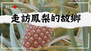 【花蓮】走訪鳳梨的故鄉-富興社區｜GoGoTaiwan @FTV_Show 