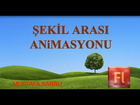 Video: Flash Animasyonları Oluşturmanın 3 Yolu