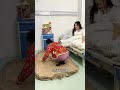 Automatic inflatable bed, automatic inflation and deflation,voice intelligent model frees your hands