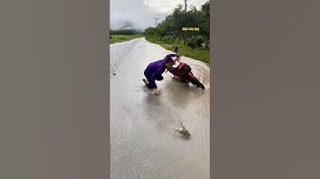 Cá Lớn - vồ Ếch lên đường khi mưa Lũ 😱 #khacthuyvlogg