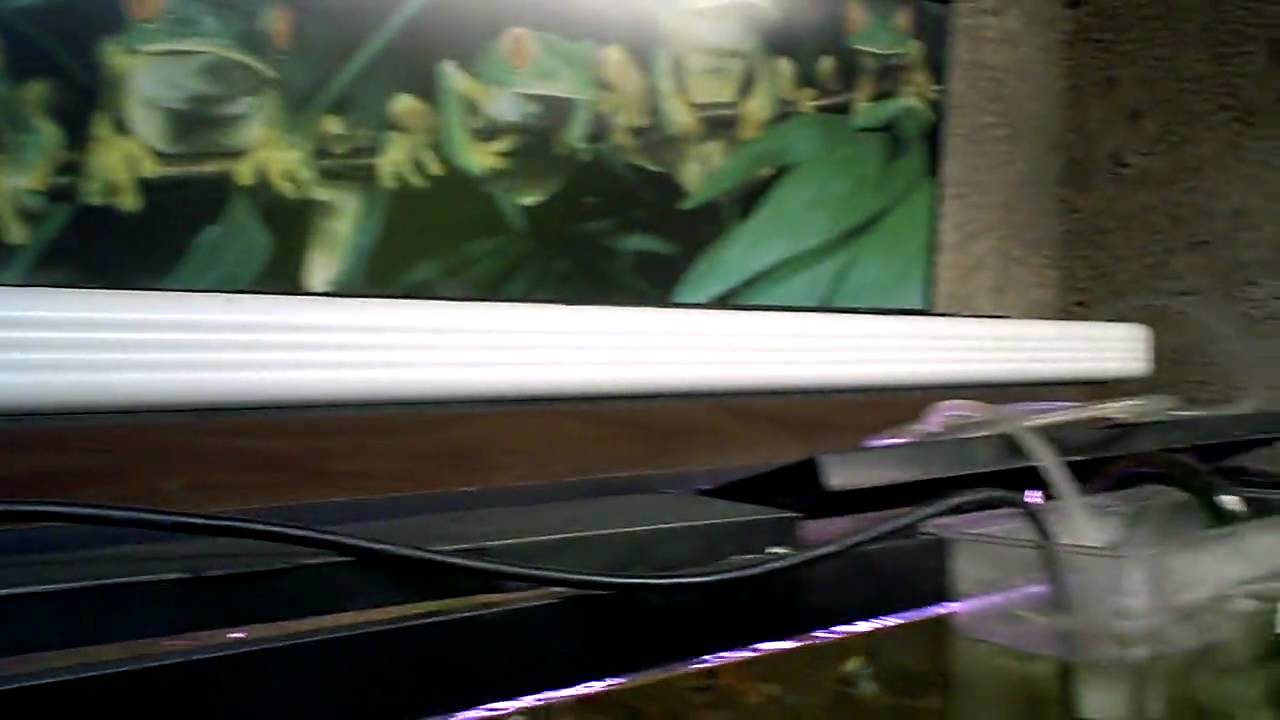 Aquaponics DIY Basic Indoor Setup YouTube