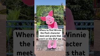 Where to find the SECRET Winnie the Pooh Characters at Disneyland Paris