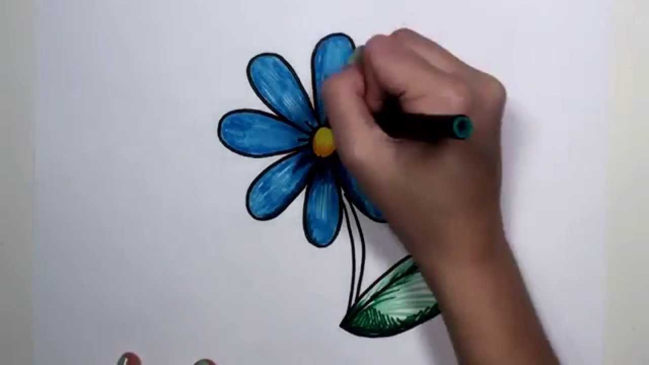 How to Draw Flower Step by Step Blue Daisy Drawing Lesson MLT