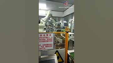 Customized robot hand side pick feeding cartoning machine encasing line