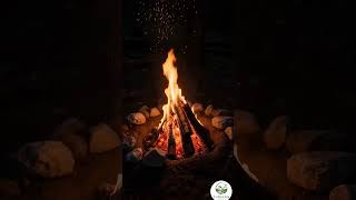 Campfire ASMR 🔥 Relaxing Fire Sounds | No Music, Just Nature #Shorts #naturesounds