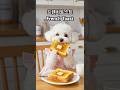 아침 프렌치토스트🐶🍞 Morning french toast #shorts #강아지 #반려견