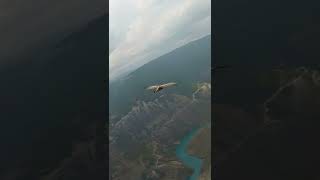 Сулакский каньон, Дагестан, полет орла