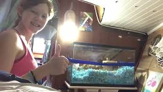 Cleaning skippers cage —— Mollys minute 53