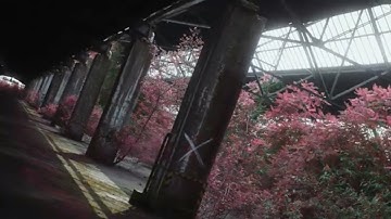 Time, The Valuator - In Control (feat. Nico Schiesewitz) (Official Video)