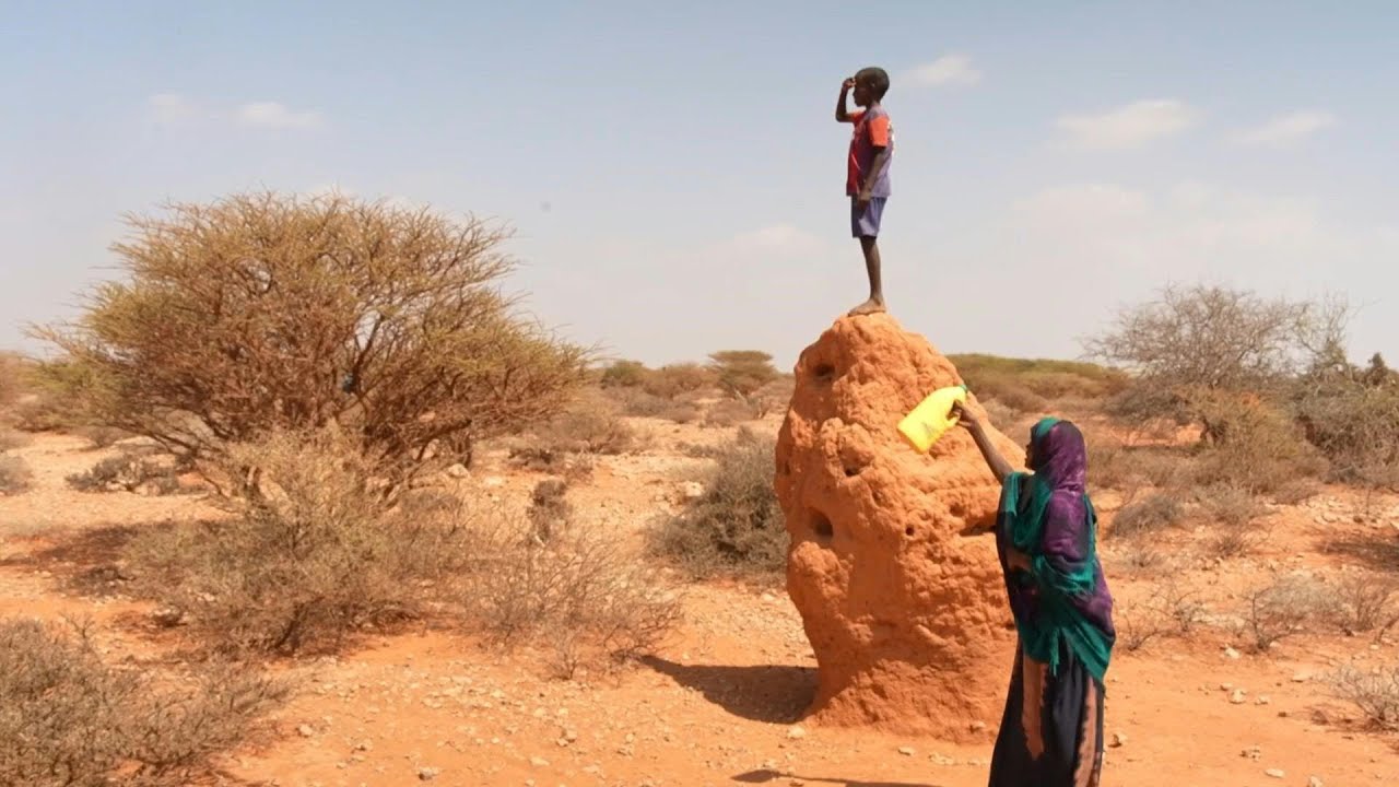 Fome em níveis críticos quase dobra na Somália | AFP