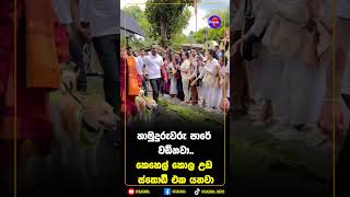 හාමුදුරුවරු පාරේ වඩිනවා..කෙහෙල් කොල උඩ ස්කොඩිි එක යනවා!
