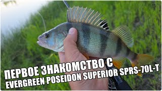 видео: Знакомство с Evergreen Poseidon Superior SPRS-70L-T картинка: Знакомство с Evergreen Poseidon Superior SPRS-70L-T