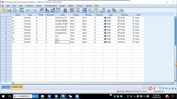 SPSS Reliability Analysis