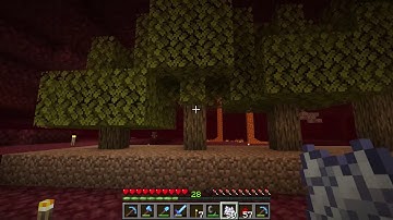 How to grow Trees in the Nether guide - Minecraft