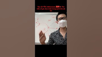 Học cắt TÓC vidalsassoon; 🟥🔴🔺 Tìm hiểu về góc độ cơ bản trong quá trình cắt tóc