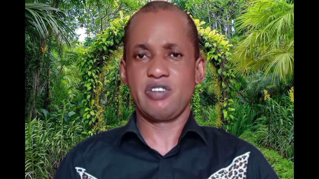 Natural Child sex Preselection Boy or Girl As a choice of Your next child, Natural family planning