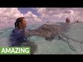 Playful stingrays love to kiss humans