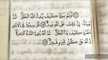 حالات واتساب || قل سيروا في الأرض فانظروا كيف بدأ الخلق || سورة العنكبوت || رعد محمد الكردي