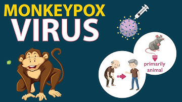 Monkeypox Explained: What You Need to Know About the Latest Outbreak