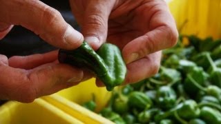 Peppers:  A Love of Spanish Food and Culture screenshot 1