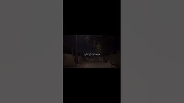 القارئ صلاح الباجي #قرآن_كريم #تلاوات_خاشعة #قرآن #قران_كريم #تلاوات_قرآن #تلاوة_خاشعة