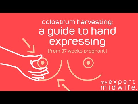 Colostrum Harvesting, How to get colostrum into a syringe  #ColostrumHarvesting #Colostrum #AntenatalExpressing #HandExpressing  #BreastFeeding #BreastMilk #ExpressingColostrum, By Gestational Diabetes  UK