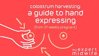 Colostrum Harvesting: A Guide to Hand Expressing