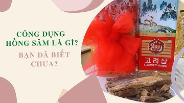 Bạn đã biết Công dụng của Hồng Sâm Hàn Quốc chưa? - Đặng Thi - ANaNa Nhân Sâm Korea