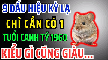 Canh Tý 1960 có Phước Đức, Hậu vận Giàu Sang Tự đến, Chỉ Cần Nhìn Vào 9 Dấu Hiệu Này Là Biết Ngay
