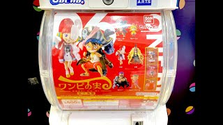悪魔の実シリーズ　プニプニの実（チェリー） 悪魔の実シリーズ プニプニの実（チェリー）