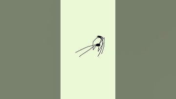 Thumbnail of Spider throws it's baby original animation
