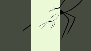 Spider Throws Its Baby Original Animation