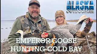 Tony's Epic Emperor Goose hunt in Coldbay with Aleutian Island Waterfowlers