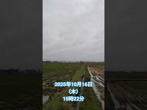山形県寒河江市散歩にて撮影2025年10月16日（木）15時22分