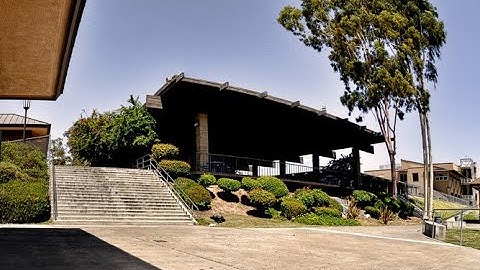 Top 10 Tricks Done down El Toro (2020)