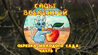 видео: Александр Петров. Обрезка молодого сада, часть 1 картинка: Александр Петров. Обрезка молодого сада, часть 1