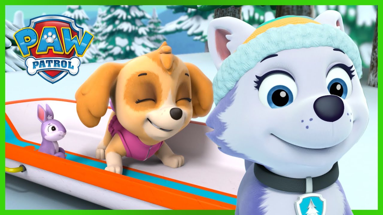 Everest Rescues Skye on the Mountain! 🗻 | PAW Patrol Rescue Episode | Cartoons for Kids