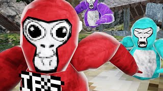 I 1v1 The MOST TOXIC player In Gorilla Tag...