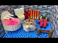 🐹 HAMSTER ESCAPE: Squid Game Jail Maze! 😲 Real life Police traps