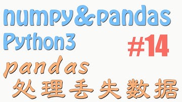 14 pandas 处理丢失数据 (教学教程tutorial)
