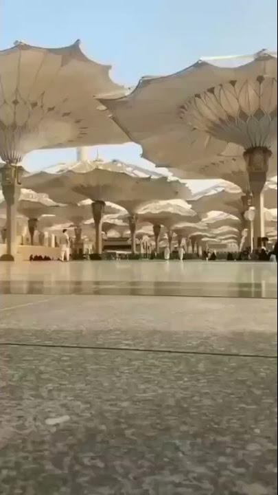 Tajdar-e-Haram Naat Whatsapp Status | masjid al nabawi ( madina ) islamic Whatsapp Status #short