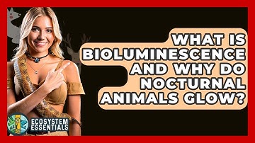 What Is Bioluminescence And Why Do Nocturnal Animals Glow? - Ecosystem Essentials