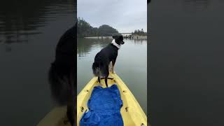 First Kayak Trip With Pups