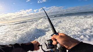 Surfcasting Dangerous Nor'easter Surf - Great Striper Bite