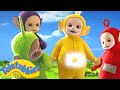 Teletubbies | HIDE AND SEEK | 1 HOUR | Official Season 16 Compilation