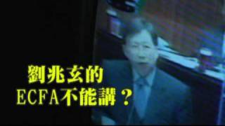 支持ECFA公投