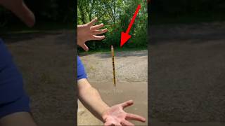 1 Magic Pen Trick In One Minutes #shorts #viral