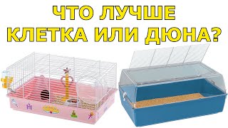 Клетка для хомяка или дюна – Что выбрать?