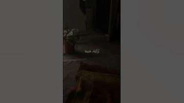 #ماهر_المعيقلي #القرآن_الكريم #اكسبلور #ماهر_المعيقلي #لايك #سورة_الحشر
